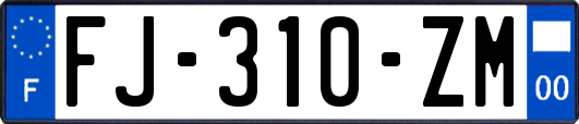 FJ-310-ZM