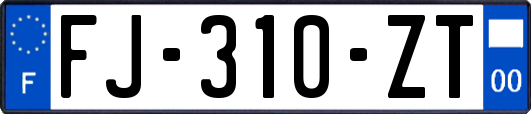 FJ-310-ZT