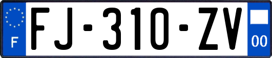 FJ-310-ZV