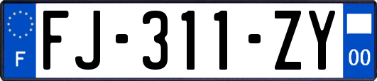 FJ-311-ZY