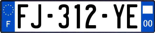 FJ-312-YE