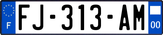 FJ-313-AM