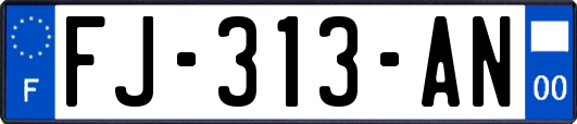 FJ-313-AN