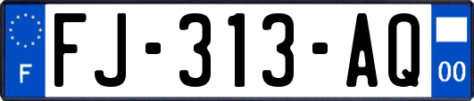 FJ-313-AQ