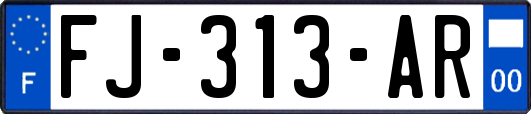 FJ-313-AR