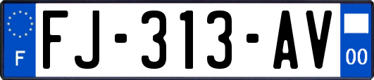 FJ-313-AV