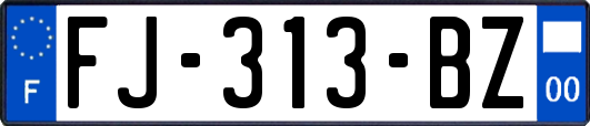 FJ-313-BZ