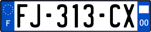 FJ-313-CX