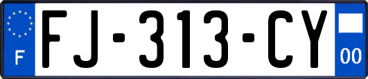 FJ-313-CY