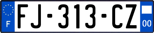 FJ-313-CZ