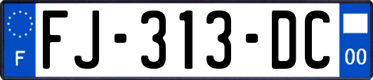 FJ-313-DC
