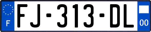 FJ-313-DL