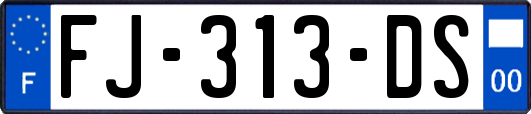 FJ-313-DS