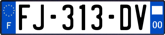 FJ-313-DV