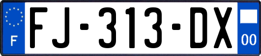 FJ-313-DX
