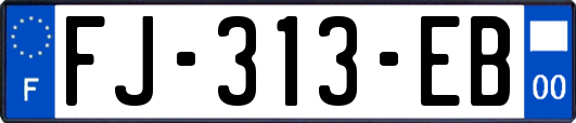 FJ-313-EB