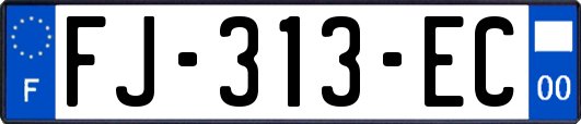 FJ-313-EC
