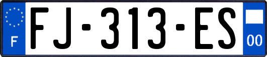 FJ-313-ES