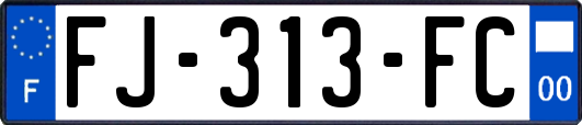 FJ-313-FC