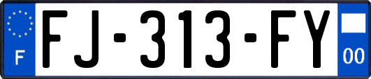 FJ-313-FY