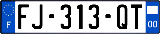 FJ-313-QT