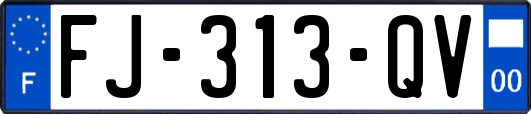 FJ-313-QV