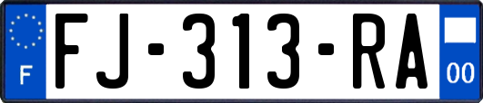 FJ-313-RA