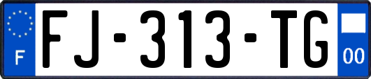 FJ-313-TG