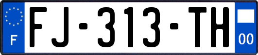 FJ-313-TH