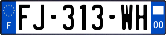 FJ-313-WH