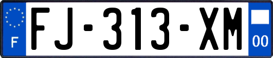 FJ-313-XM