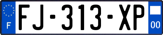 FJ-313-XP