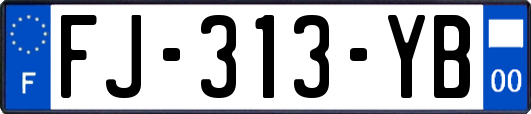 FJ-313-YB