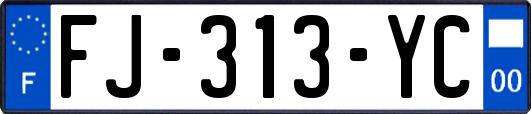 FJ-313-YC