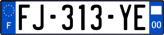 FJ-313-YE