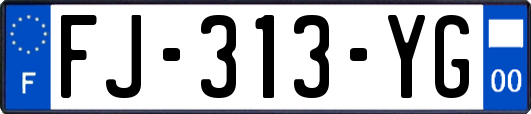 FJ-313-YG