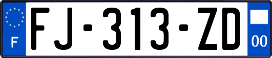 FJ-313-ZD