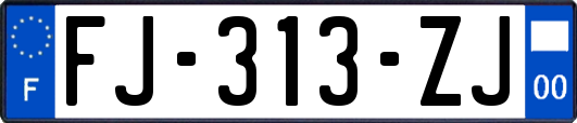 FJ-313-ZJ