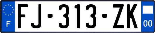 FJ-313-ZK