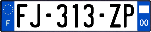 FJ-313-ZP