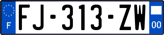 FJ-313-ZW