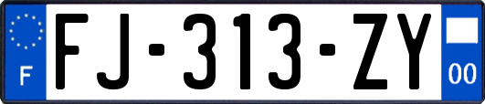 FJ-313-ZY