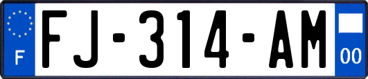 FJ-314-AM