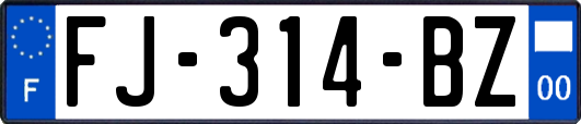 FJ-314-BZ