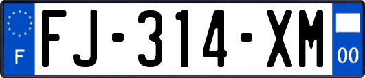 FJ-314-XM
