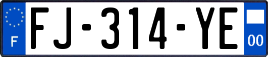 FJ-314-YE