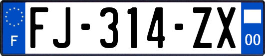 FJ-314-ZX