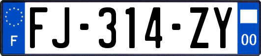 FJ-314-ZY