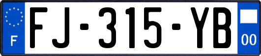 FJ-315-YB