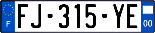 FJ-315-YE